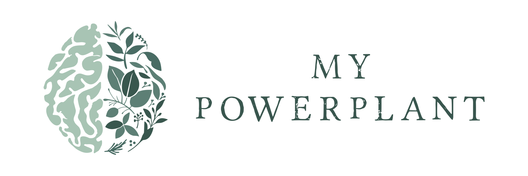 My PowerPlant